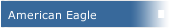 American Eagle 